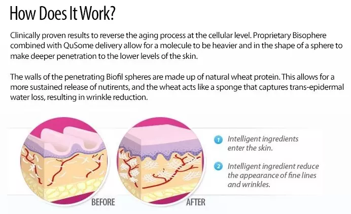 Working of Neuology Skin Cream